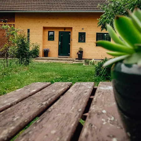 Zlaty Dub * Dubi (Rychnov nad Kneznou)